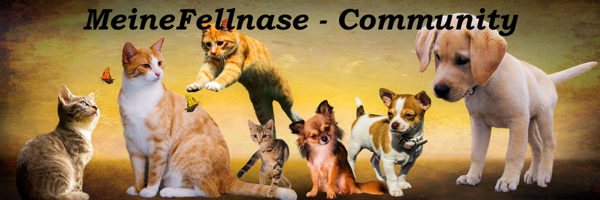 MeineFellnase Community