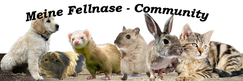 Meine Fellnasen Community