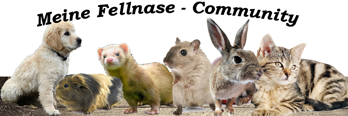 Meine Fellnase - Deine Community