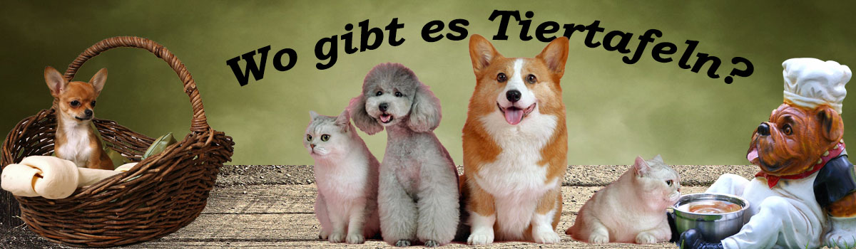 Wo gibt es Tiertafeln