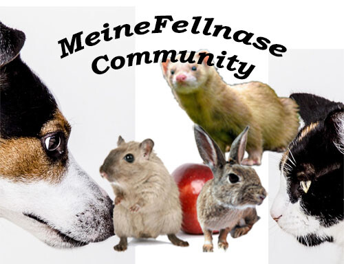 MeineFellnase Community